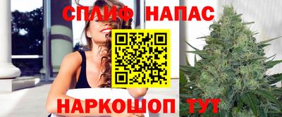 дживик Славгород