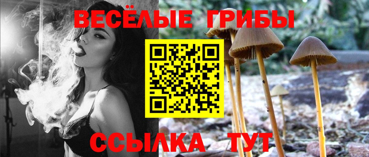 наркошоп  Вход с VPN  Муравленко  Галлюциногенные грибы MAGIC MUSHROOMS  Галлюциногенные грибы Magic Shrooms 