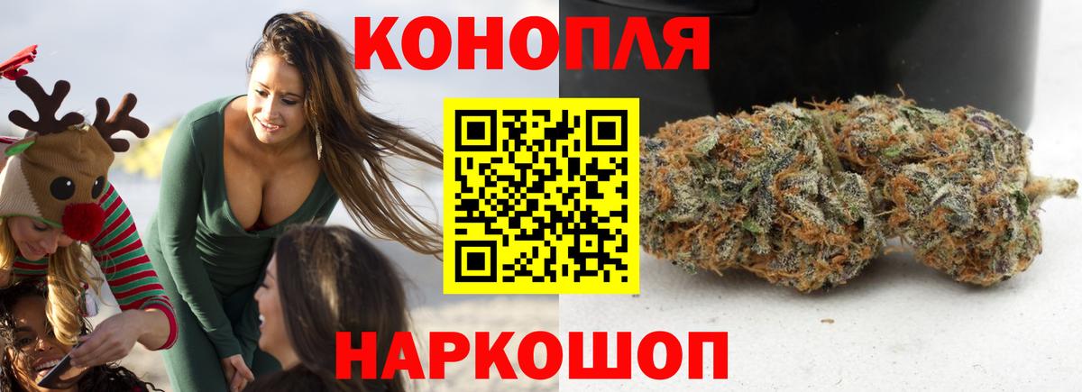 Каннабис гибрид Муравленко